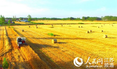 LOCAL202106090814000570688992391